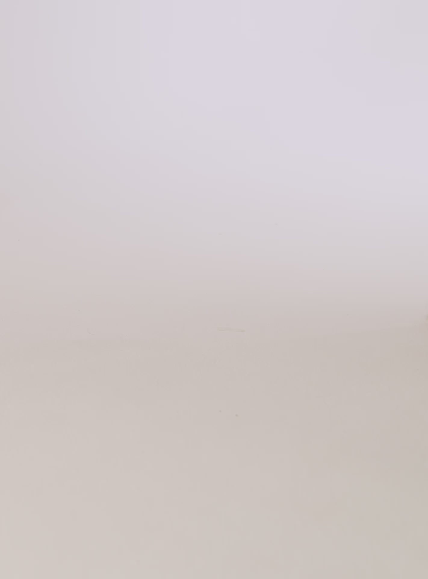 Anabela Flatform Couro Bela Camel